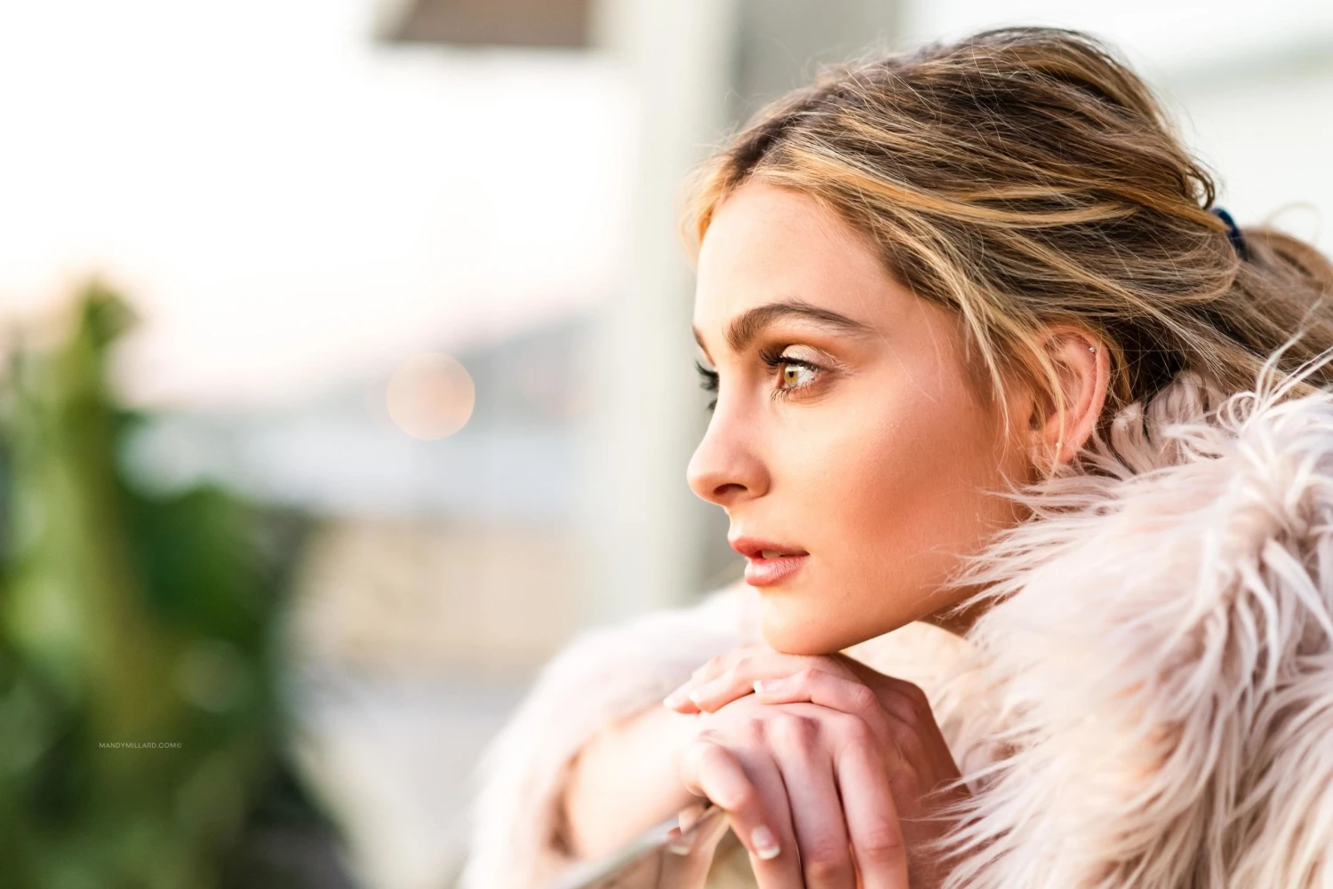 Fidelma Fashion Shop -Fidelma Fashion Shop CIS 5531 Edit